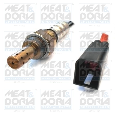 Oxygen Sensor
